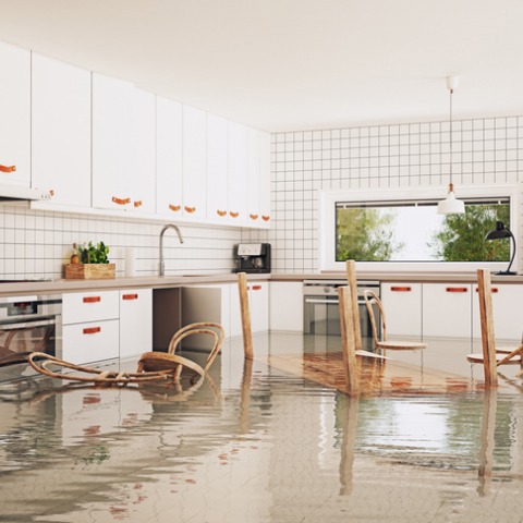 Understanding different types of water damage and insurance coverages