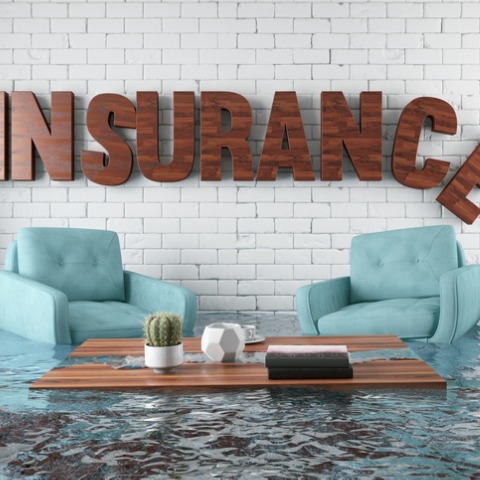 Public adjusters help you find hidden damage