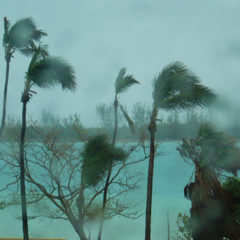 Hurricane Beryl Alert and Preparedness Tips for Businesses