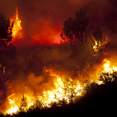 80 wildfires burning in 13 different states