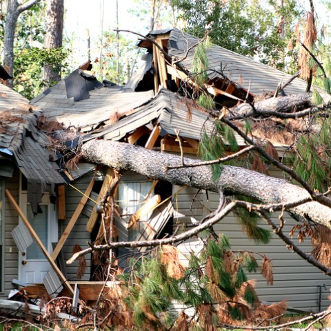 Decoding Insurance Claims: How to navigate a derecho insurance claims with help from a public adjuster