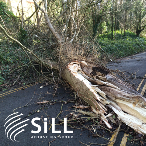 Sill Leads Brook Park’s Recovery: A Public Adjuster’s Role in Rebuilding After Disaster