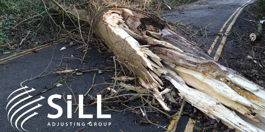 Supporting image for Sill Leads Brook Park’s Recovery: A Public Adjuster’s Role in Rebuilding After Disaster
