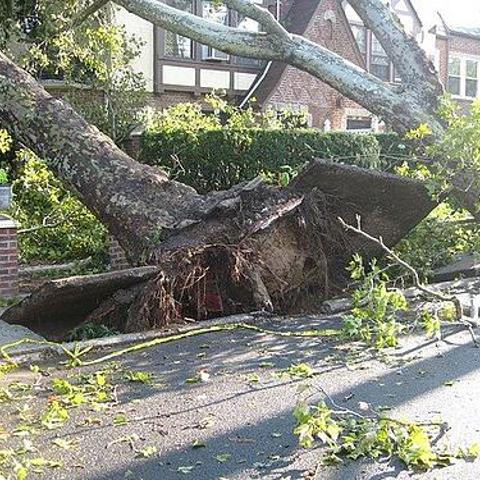 Strong winds whip parts of Ohio, thousands without power
