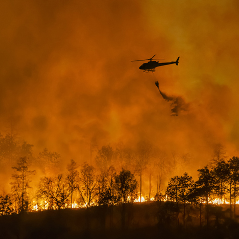 REPORT: Assessing California's FAIR Plan amid looming wildfire claims