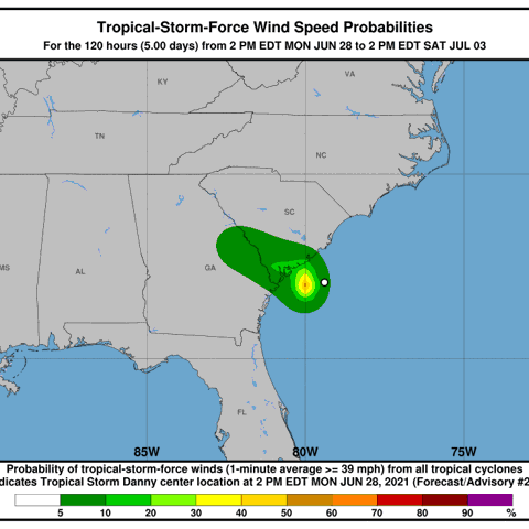 Tropical Storm Danny formed off the coast of South Carolina