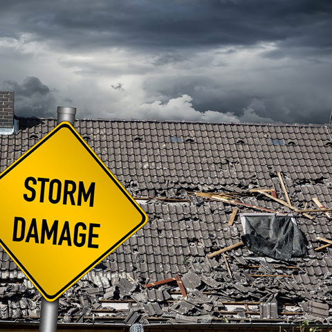 Hurricane Elsa caused $290 million in damage